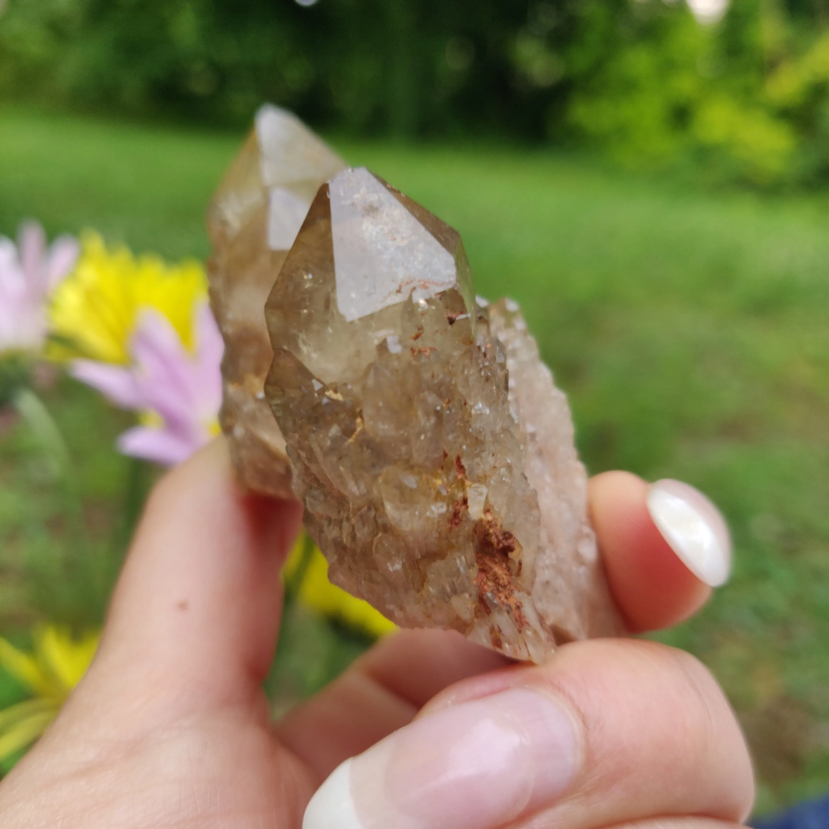 Congo Citrine Cluster (#1)
