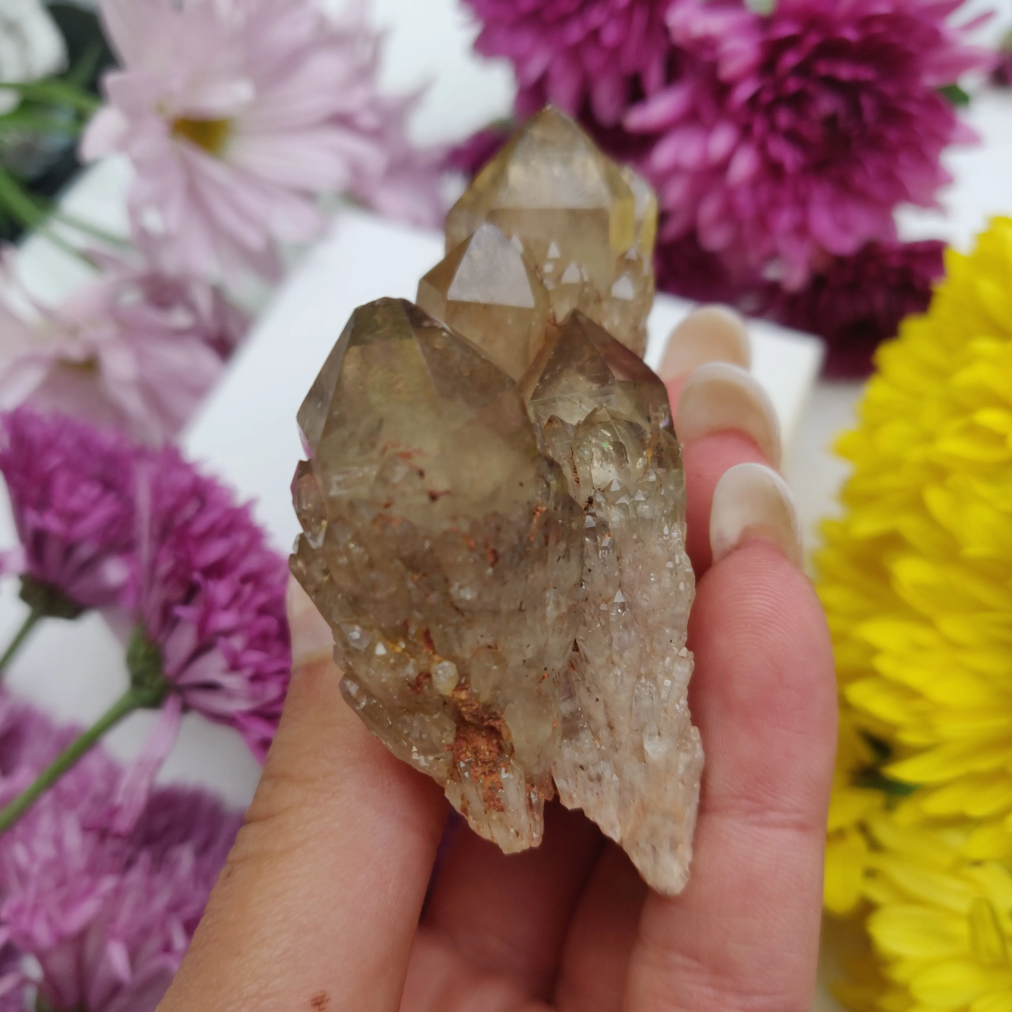 Congo Citrine Cluster (#1)
