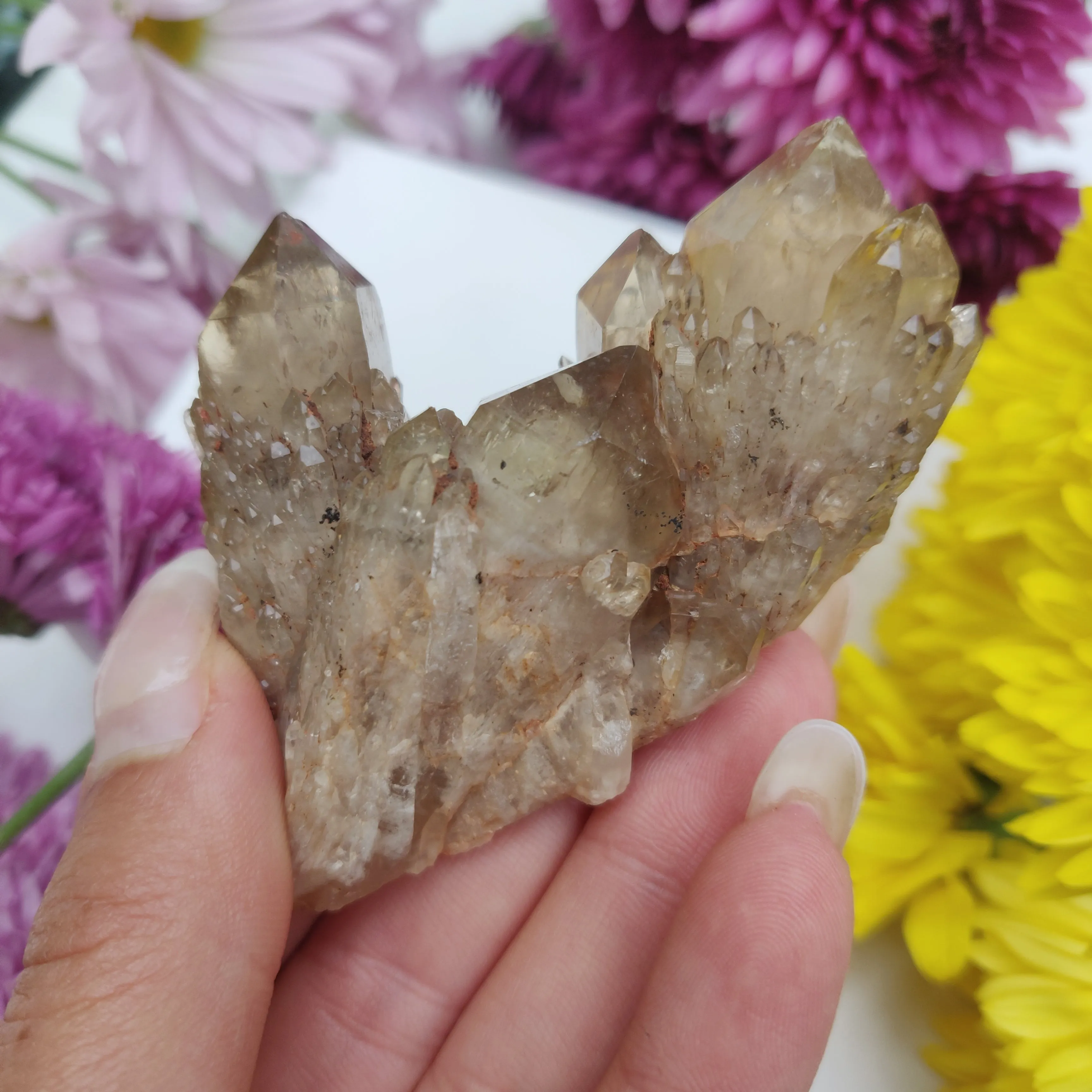 Congo Citrine Cluster (#1)
