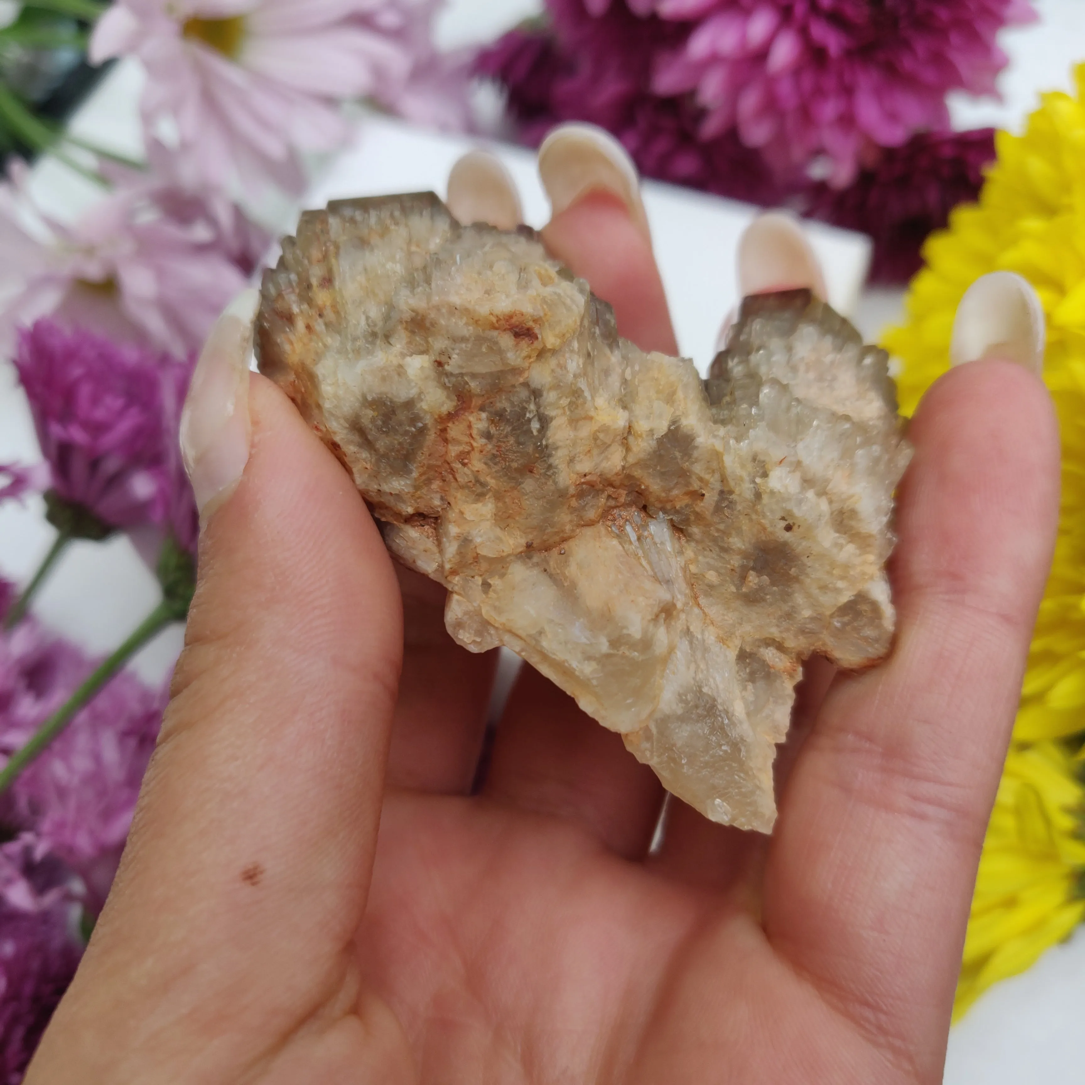 Congo Citrine Cluster (#1)