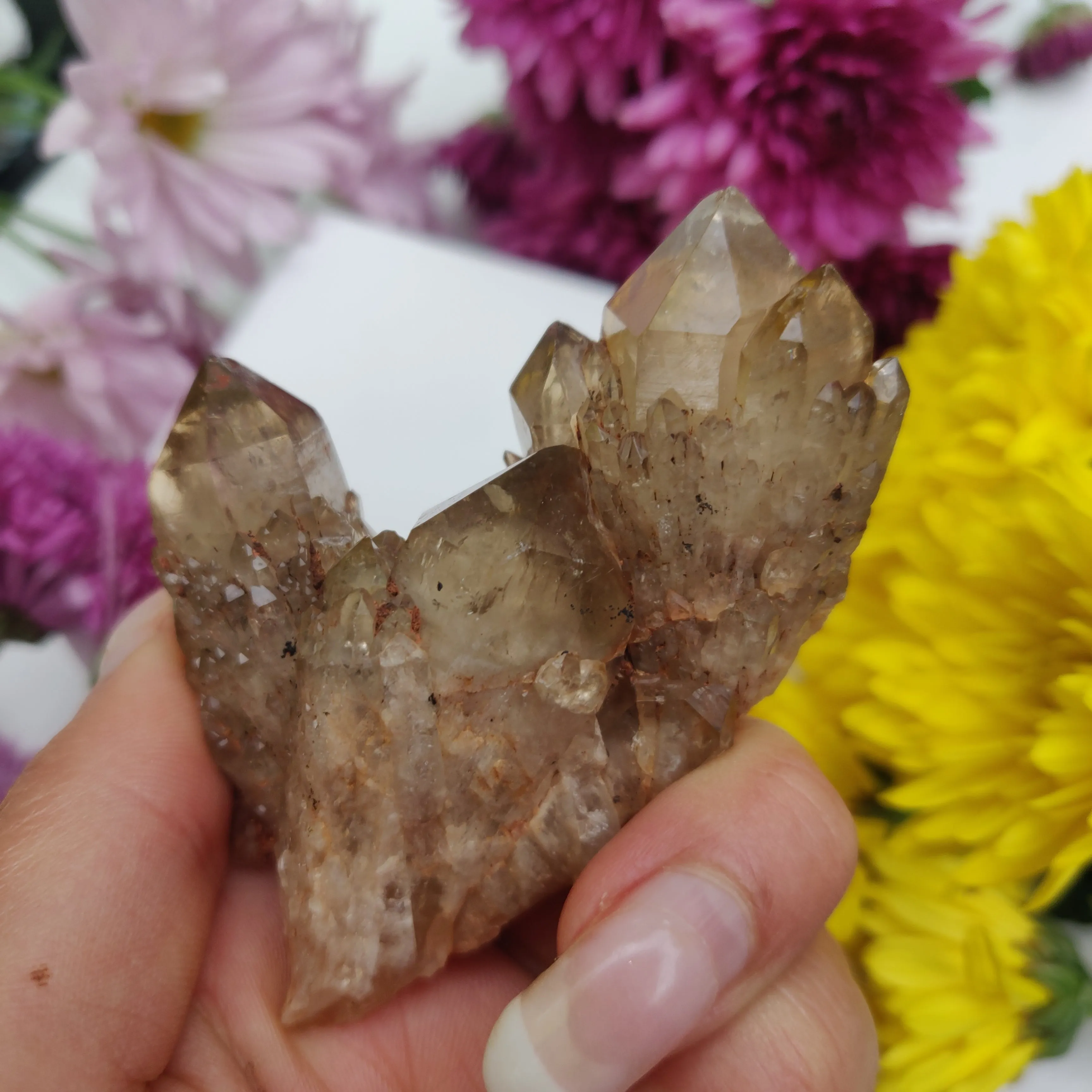 Congo Citrine Cluster (#1)