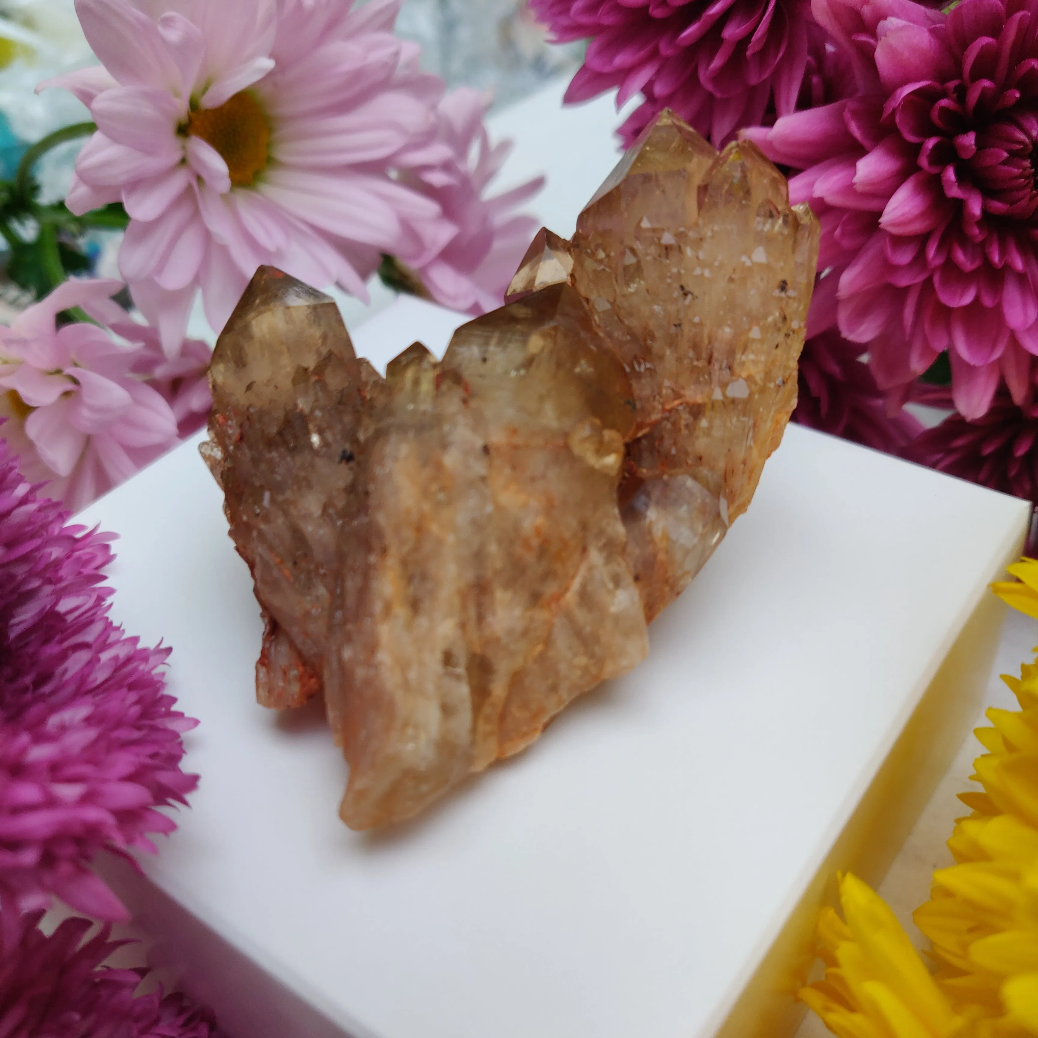 Congo Citrine Cluster (#1)