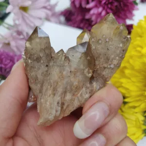 Congo Citrine Cluster (#1)