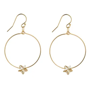 Gold Filled Golden Shadow Star Hoop Earrings