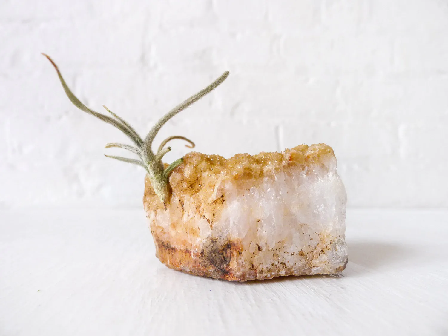 Large Citrine Crystal Air Plant Garden