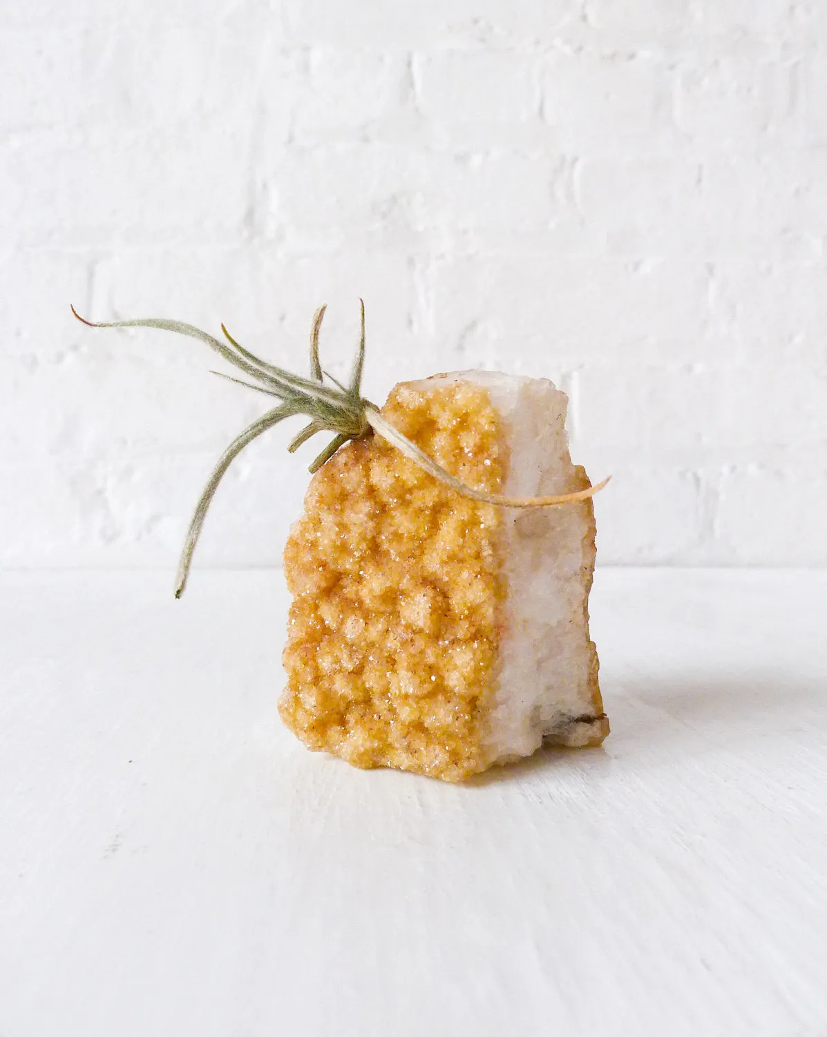 Large Citrine Crystal Air Plant Garden