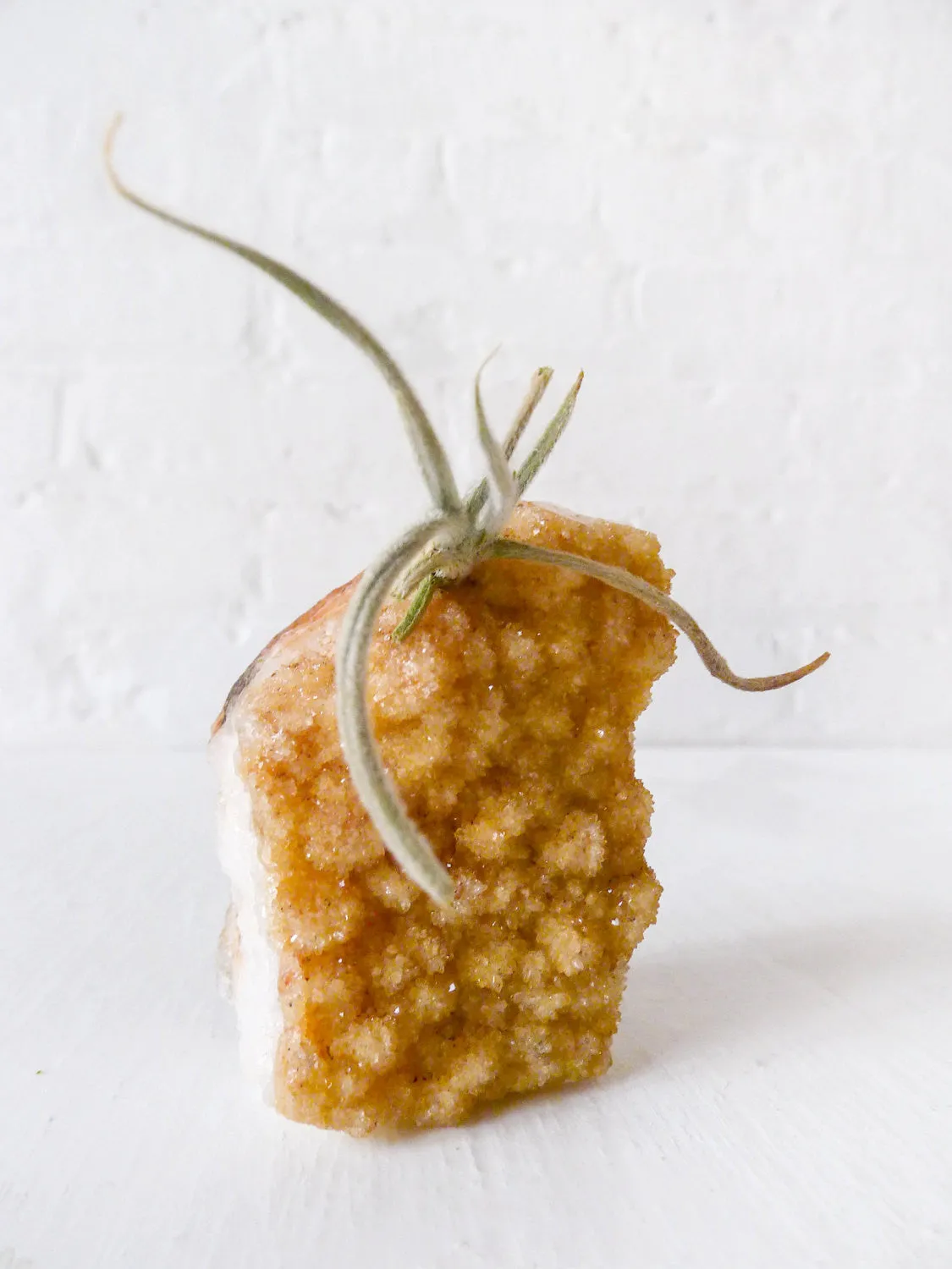 Large Citrine Crystal Air Plant Garden