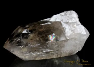 XL Citrine Cathedral Lightbrary Quartz Crystal 'Abundance Stone'
